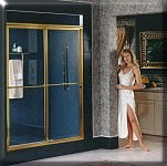 Gold 650 Glass Shower Door