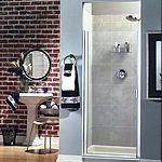 Silver 300cc Glass Shower Door